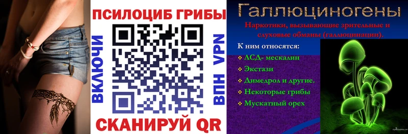 Галлюциногенные грибы Psilocybe Шебекино