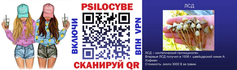 Галлюциногенные грибы мицелий  Шебекино 