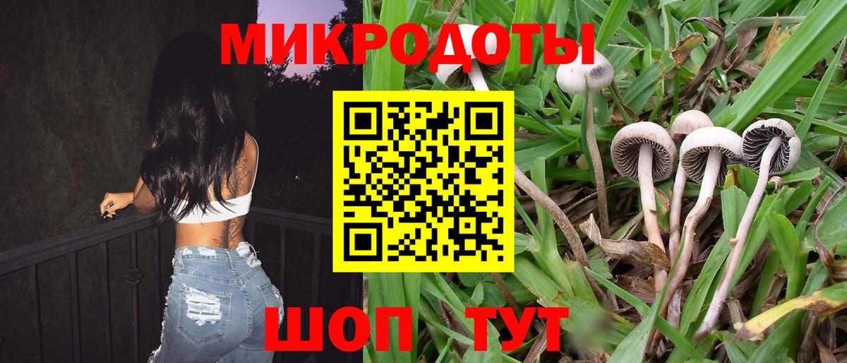 Псилоцибиновые грибы ЛСД Шебекино